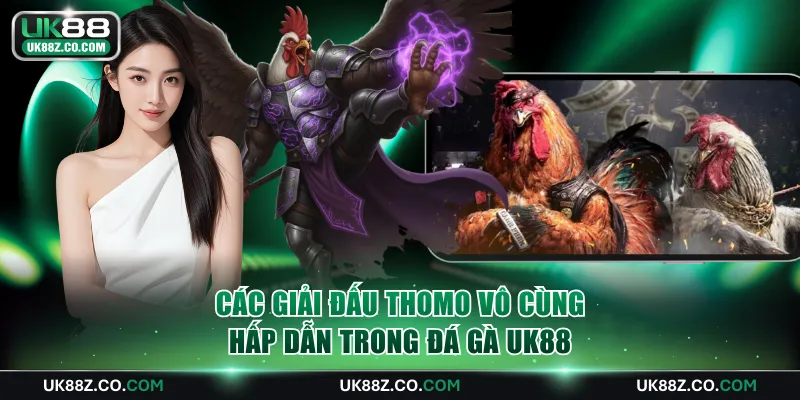 Các giải đấu Thomo vô cùng hấp dẫn trong đá gà UK88