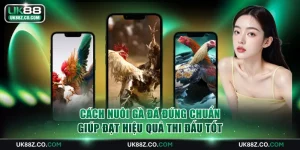 Cách nuôi gà đá