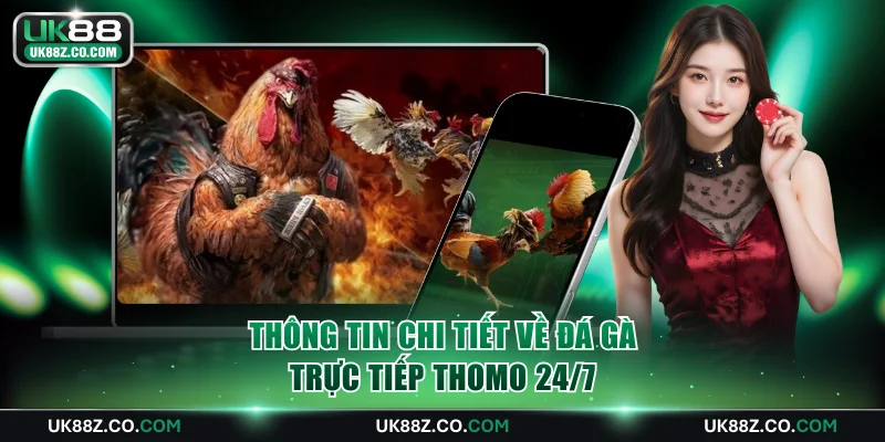 Thông tin chi tiết về đá gà trực tiếp Thomo 24/7