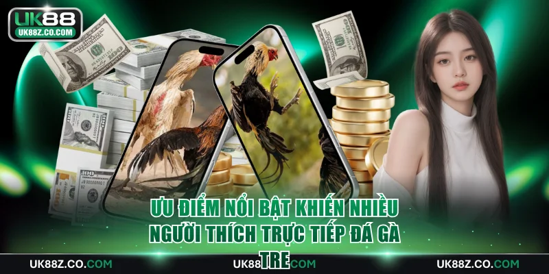 Ưu điểm nổi bật khiến nhiều người thích trực tiếp đá gà tre