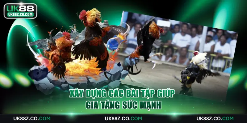 Xây dựng các bài tập giúp gia tăng sức mạnh